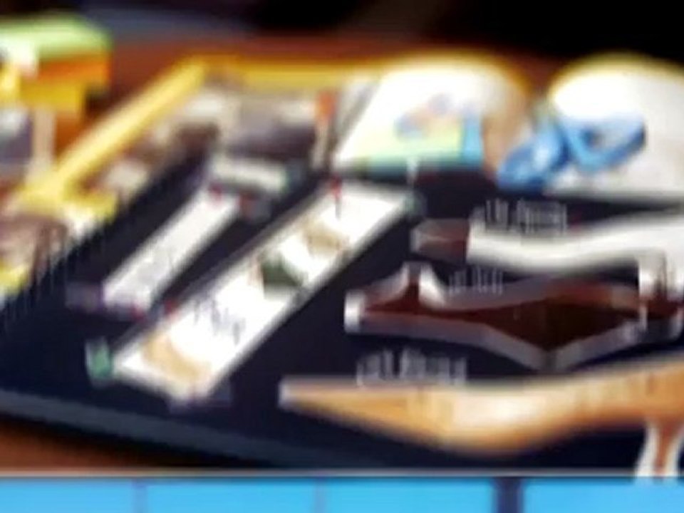 Samsung Galaxy S II GT-I9100 Unlocked Phone - Overview