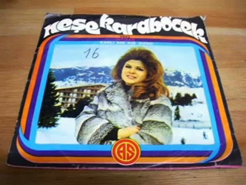 Nese Karabocek - Özlem Rihtimi (1975)