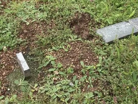 40 tombes de soldats allemands profanées près de Reims