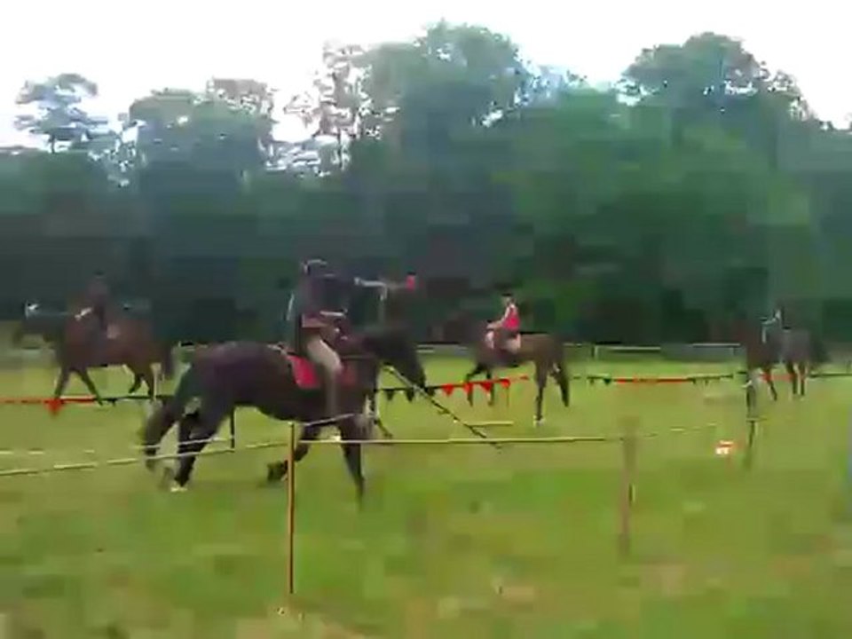 Portes ouvertes des Chevaucheurs d'Hagranyms - 5