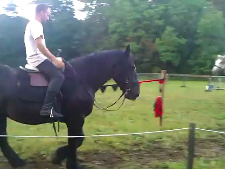 Portes ouvertes des Chevaucheurs d'Hagranyms - 9