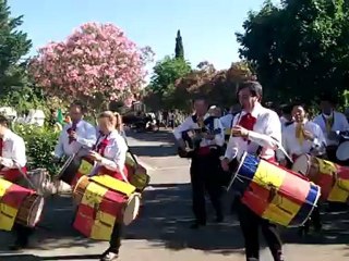 Fete des 50 ans de Rodilhan (Defiler)