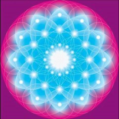 dj sam x (mégane studio) star light