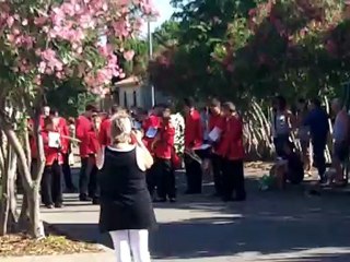 Fete des 50 ans de Rodilhan (Defiler)