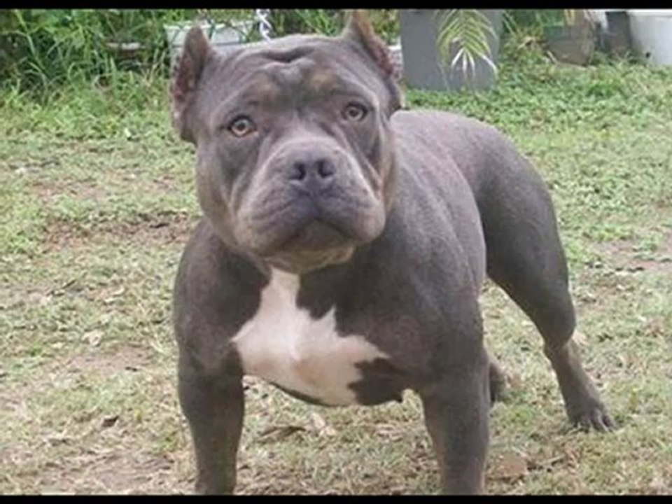 ANADOLU RAP TİME ( Dıss Too dj Pirana ) demoo devamı yakındaa