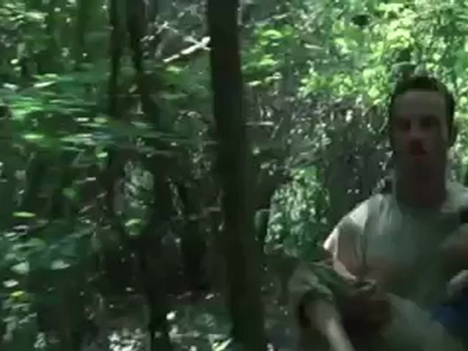The Walking Dead Season 2 - Blu-Ray Trailer