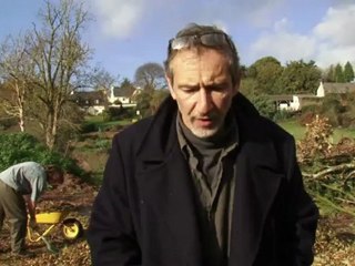 De quel bois je me chauffe ?