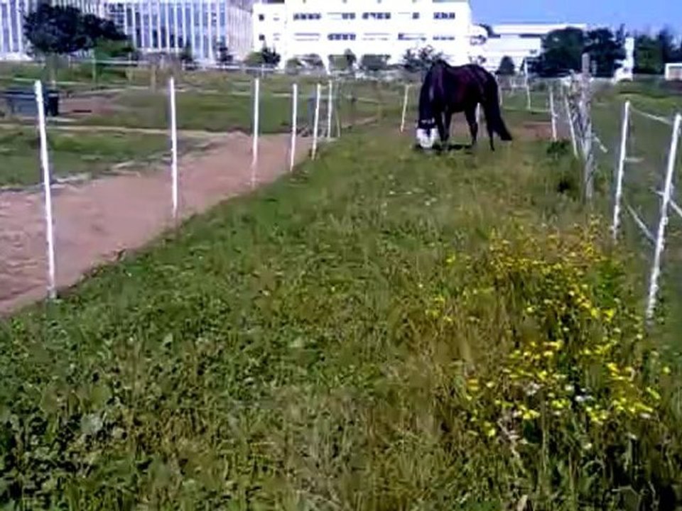 07072012081