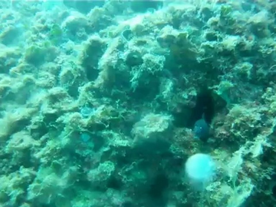 CAVERN FUN DIVE