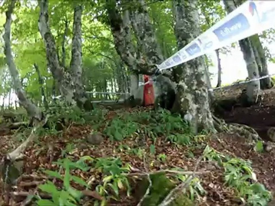 Coupe De France de DH #2 Super Besse