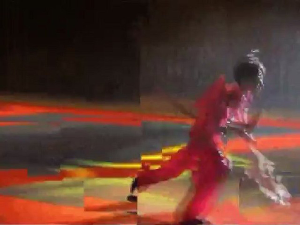 Extrait 5ème Festival Arts Martiaux Chinois - octobre 2006 - partie 3