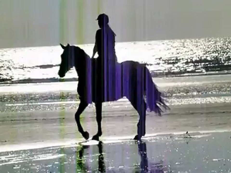 Sibélius à la plage