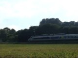 TGV in nature