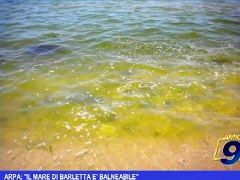 Arpa: Il mare di Barletta e' balneabile