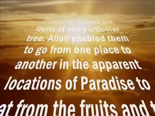 Adam - The first Prophet and Messenger of Allah, The origin of all human beings