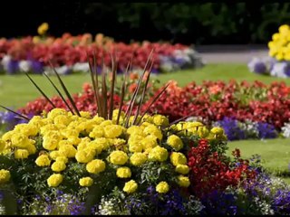 Hoimanti Shukla- Aamaar Bolar Kichu Chilona