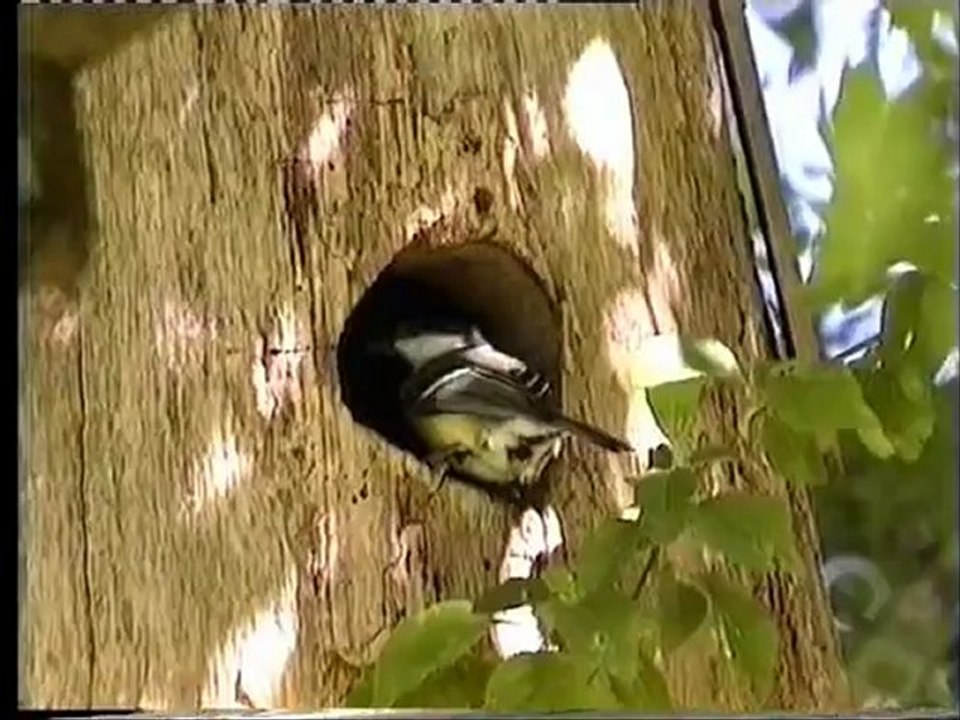Toits et toi - Laurent JOUBERT - Réserve Naturelle de l'étang de la Mazière
