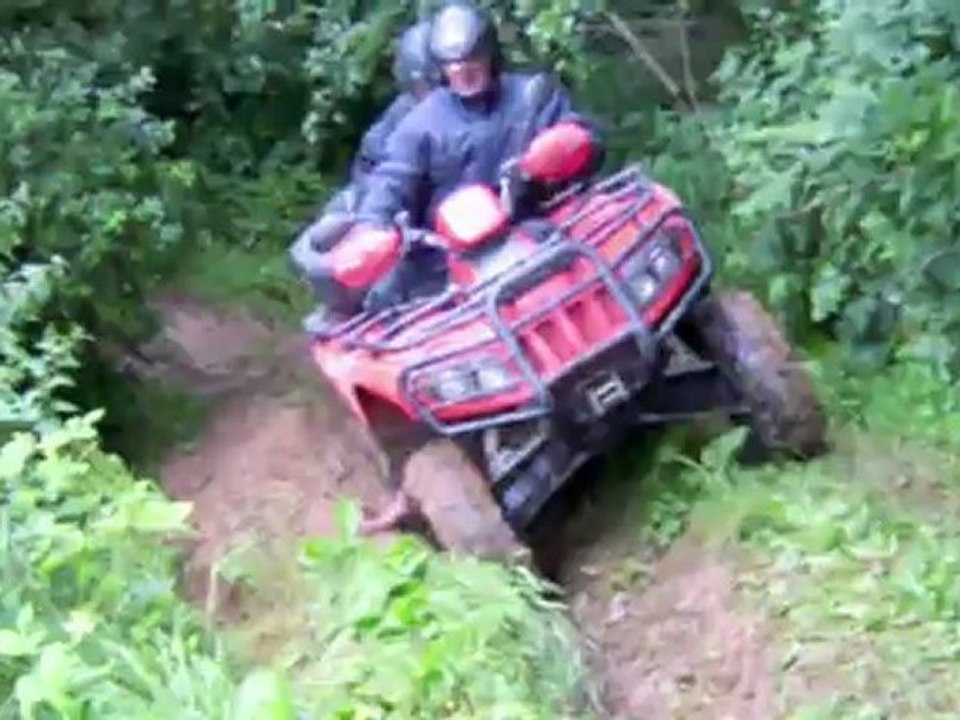 LES RANDONNEURS VERTS CAUCHOIS