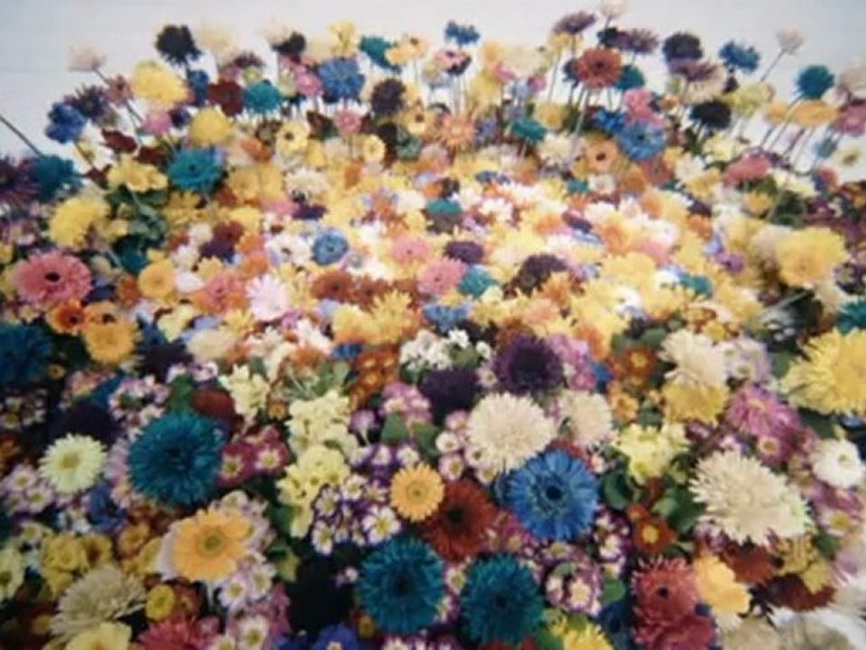 Eraser -  Memoire dune Fleur