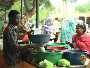 تأمين اعلان نتائج انتخابات جنوب كردفان