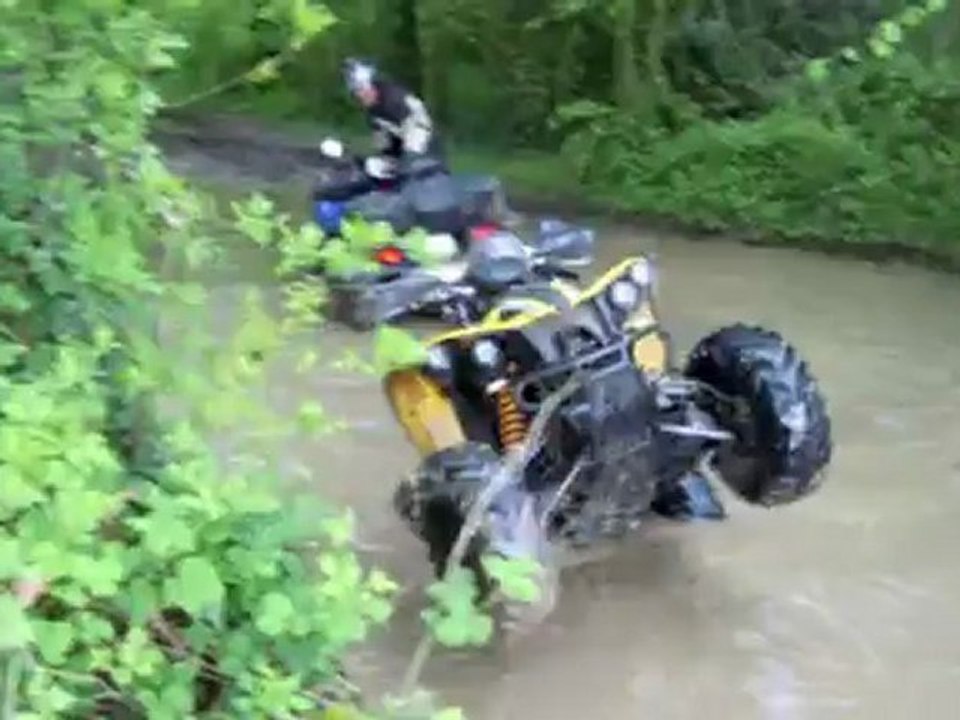 LES RANDONNEURS VERTS CAUCHOIS