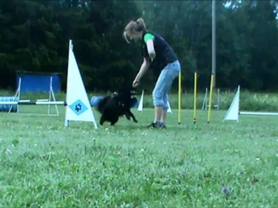 Agility 9 juli
