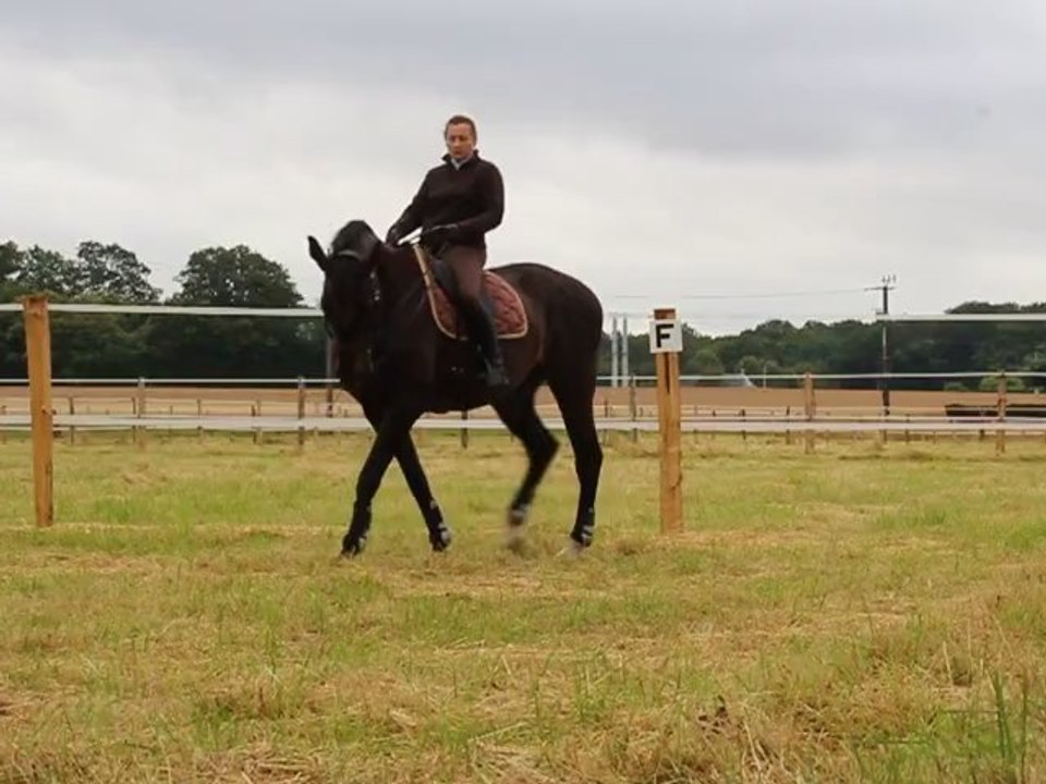 xs - eed - trotte : sur le cercle juillet 2012