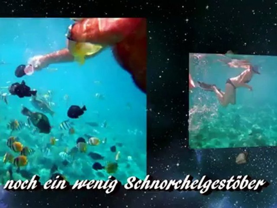 Indonesiesen Tauchen 2012