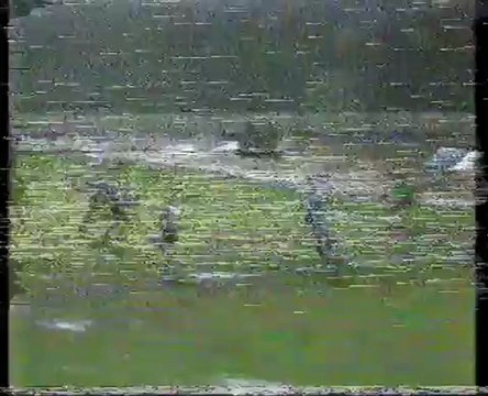 1983.11.02: Recreativo de Huelva 0 - 1 Valencia CF (Resumen)