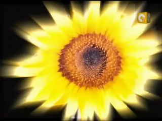 بلدنا بالمصري: الإعلام بعد الثورة بين التهويل والتهوين