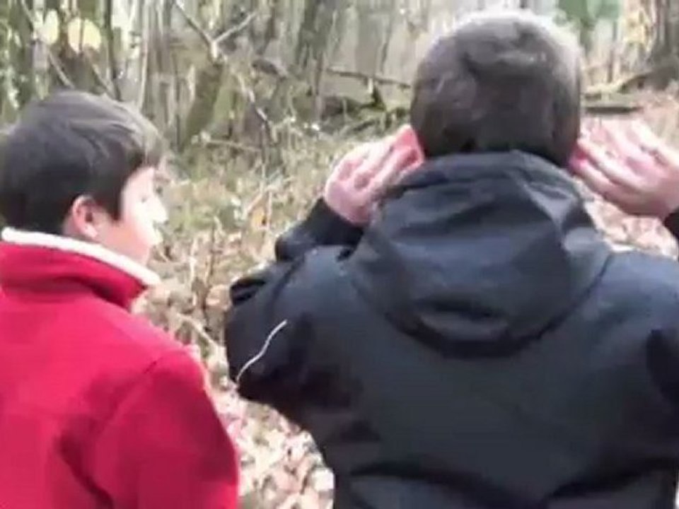 Film 1 sur l'animation nature par David