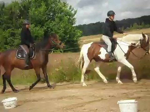 Volt, trot, 2e fois en carrière, 9.07.12