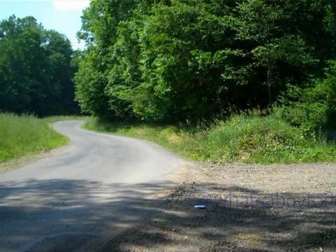 30 Seconds of Peace & Quiet: Where Two Roads Diverge