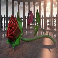 Ben Öldükten Sonramı Geleceksin