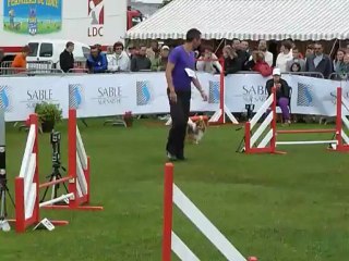 compile shetland sable sur sarthe 2012