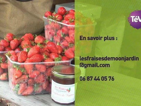 20 juin 2012 - Cueillette des fraises à Moon sur Elle