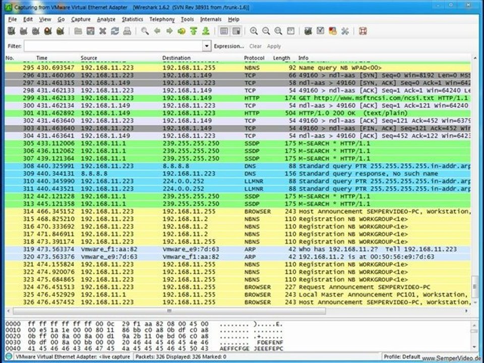 Lizenz-Virus Analyse