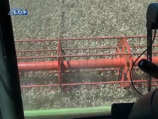 Selo moje, 08. jul 2012.