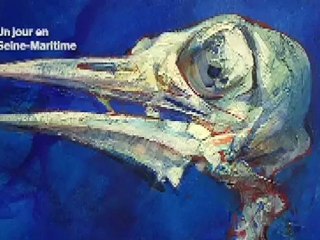 musée michel ciry mixe