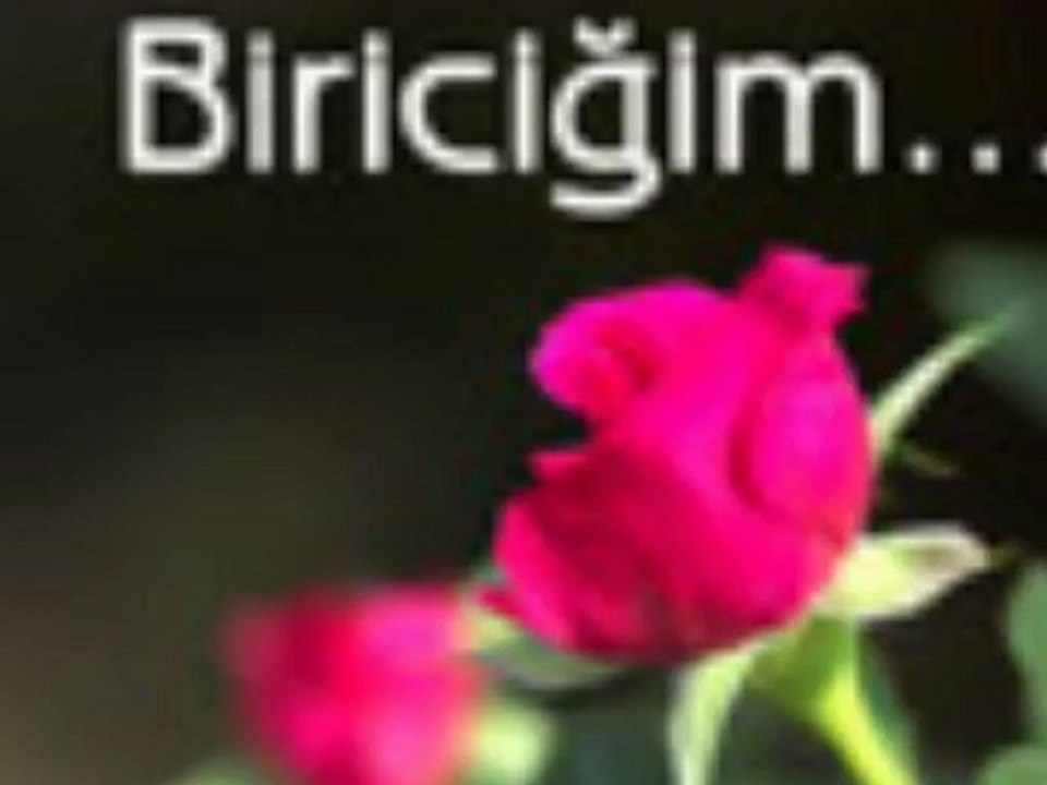 SENİ  SEVİYORUM