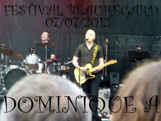 DOMINIQUE A @ Festival Beauregard
