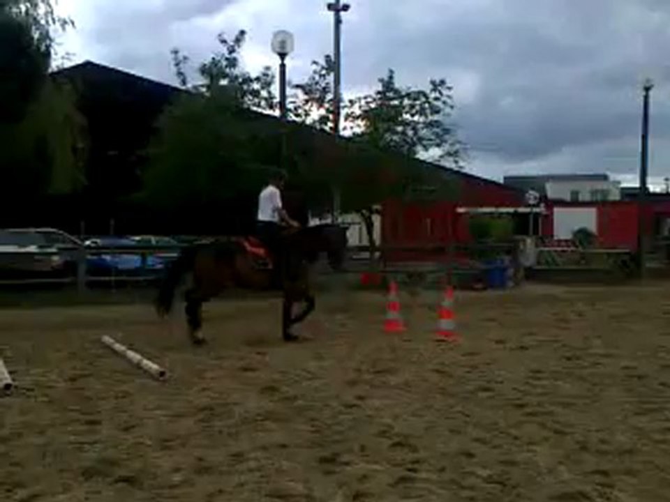 Vidéo0010