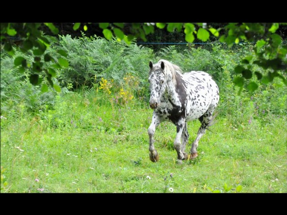 juillet 3 - 5, 2012