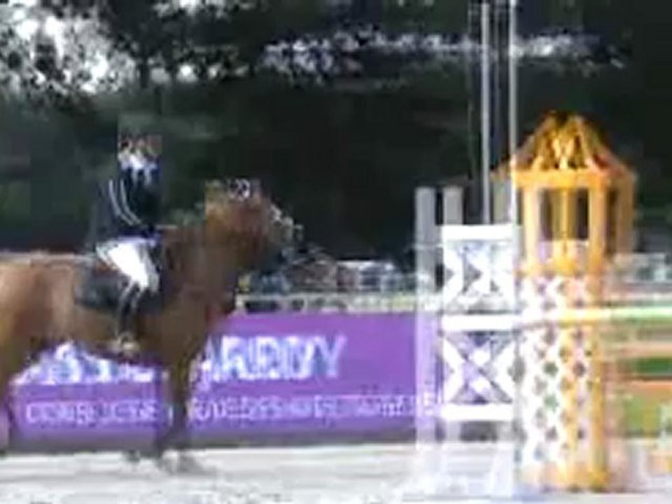 Jardy cso Dorothée