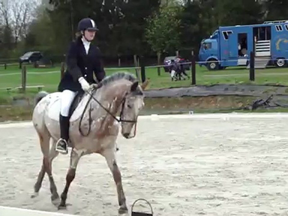 Caruso E7 Bois de Villers 15 avril 2012