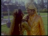 Veetla Eli Veliyila Puli - Raja Maharaja - Tamil Romantic Song – Janakraj