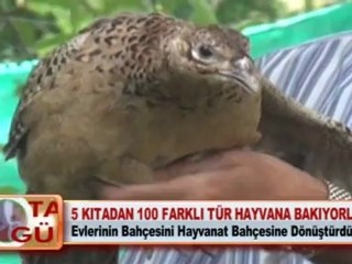 5 KITADAN 100 FARKLI TÜR HAYVANA BAKIYORLAR