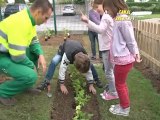 Atelier de jardinage aux écoles