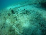 Gopro HD Underwater - Diving in Croatia