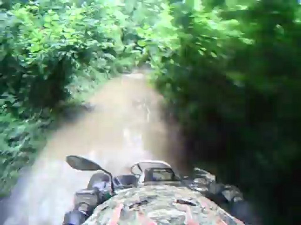 Sortie du 08/07/2012